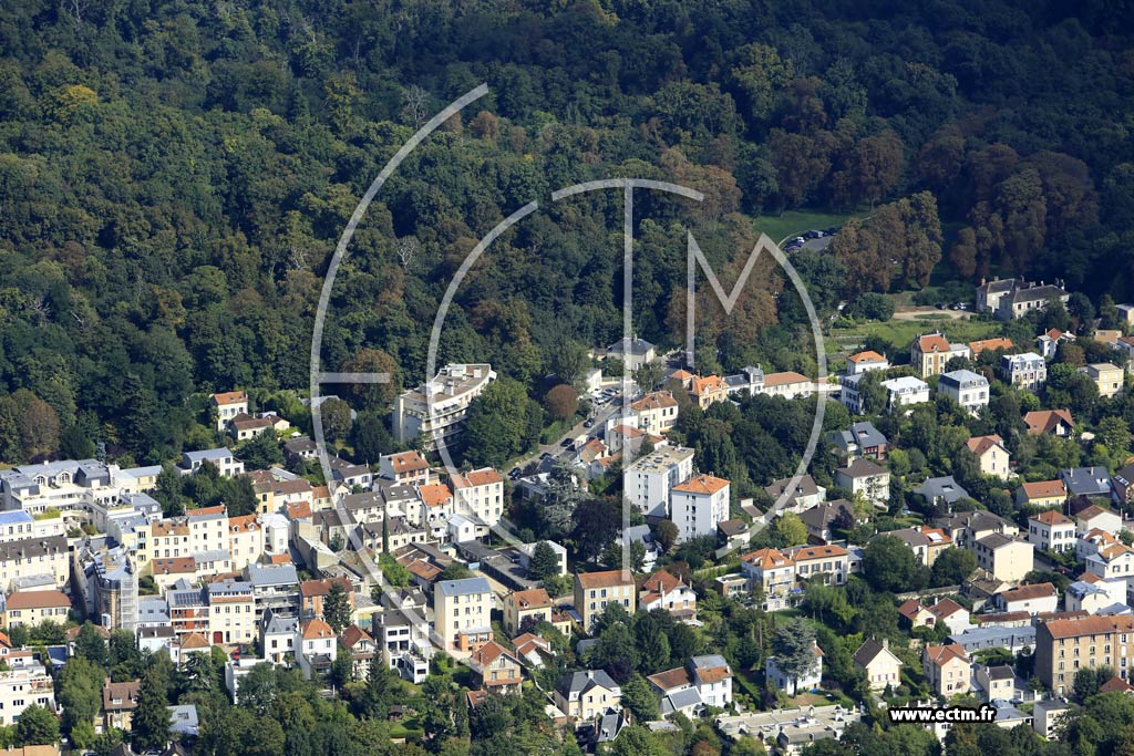 Photo arienne de Ville-d'Avray