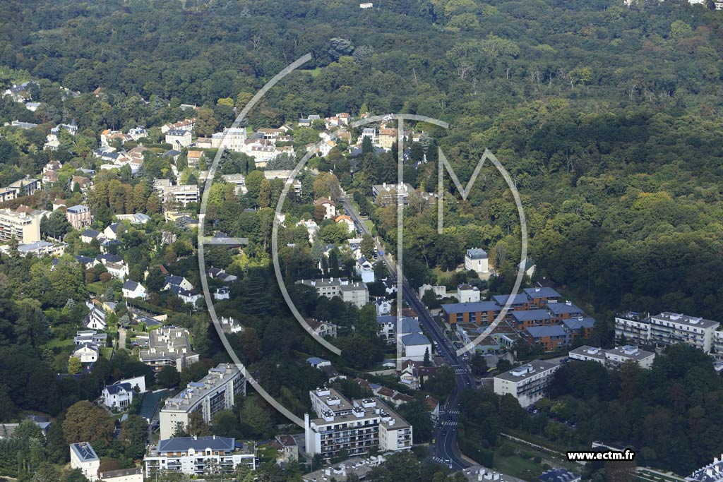 Photo arienne de Ville-d'Avray