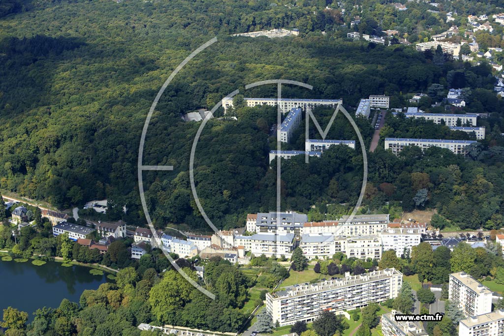 Photo arienne de Ville-d'Avray (le Monastre)