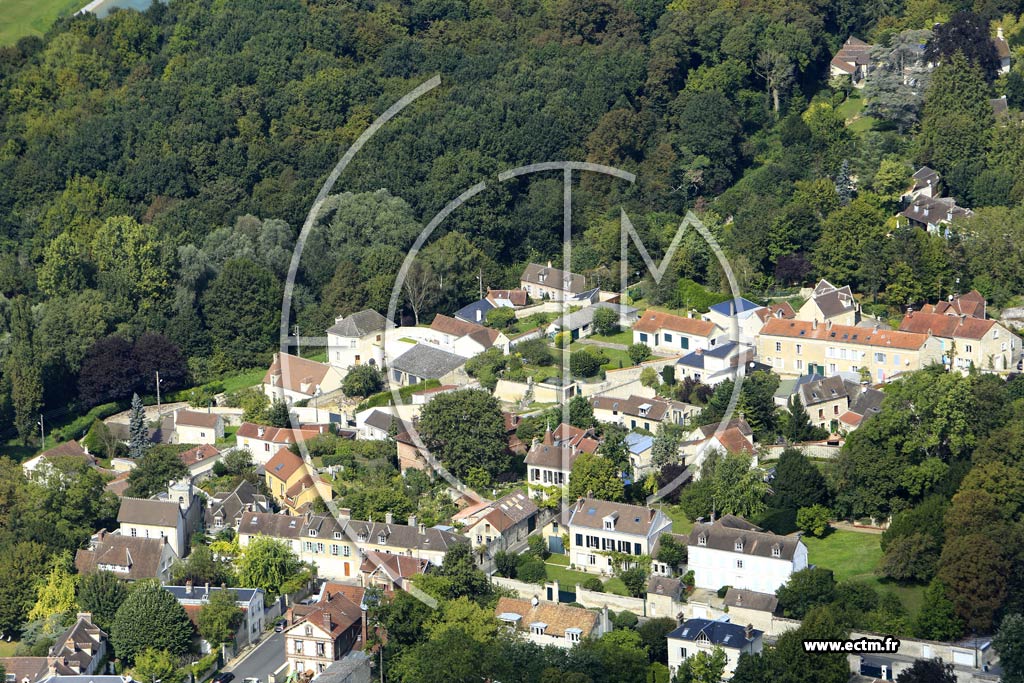 Photo arienne de Vineuil-Saint-Firmin (la Mnagerie)