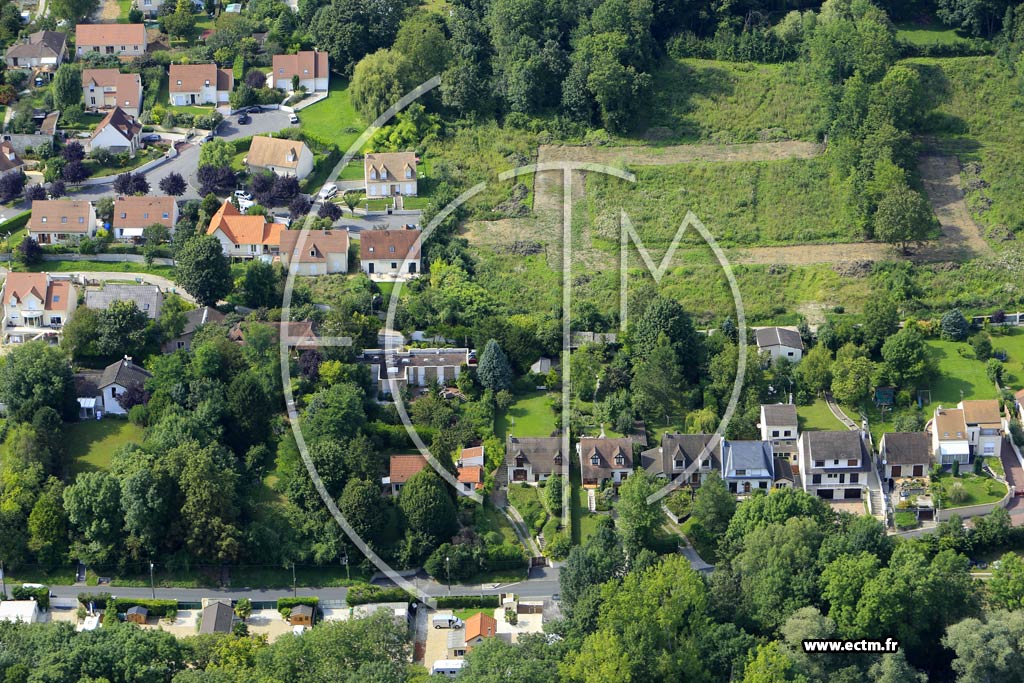 Photo arienne de Boussy-Saint-Antoine (le Moulin Neuf)