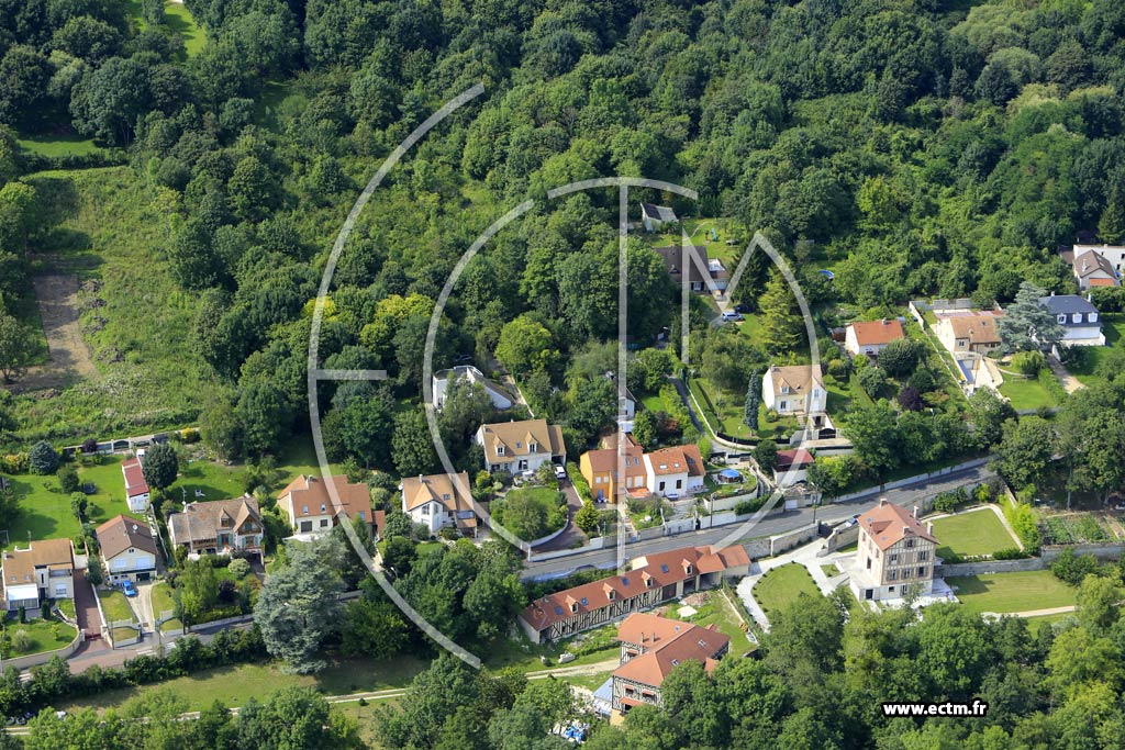 Photo arienne de Boussy-Saint-Antoine (le Moulin Neuf)