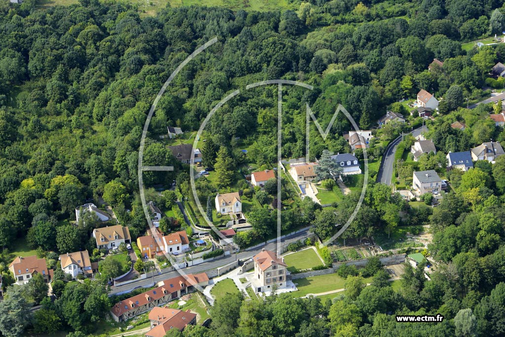 Photo arienne de Boussy-Saint-Antoine (le Moulin Neuf)