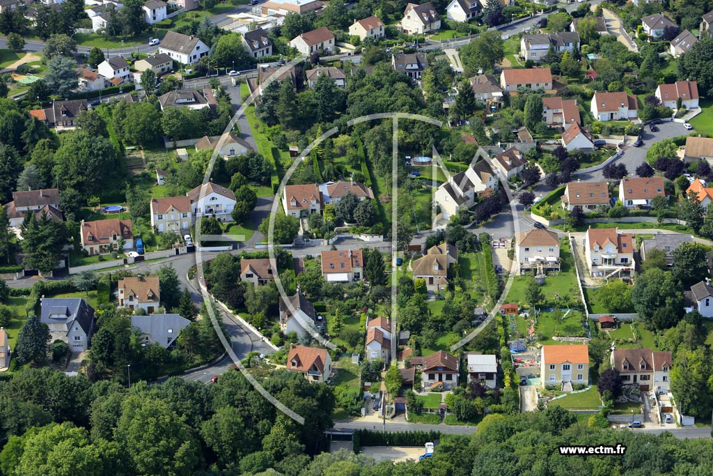 Photo arienne de Boussy-Saint-Antoine (les Jardins)