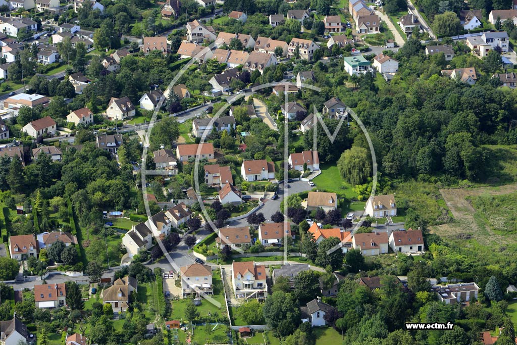 Photo arienne de Boussy-Saint-Antoine (les Jardins)