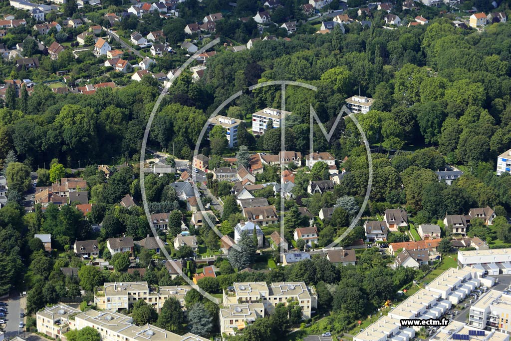 Photo arienne de Boussy-Saint-Antoine (les Thibaudires)