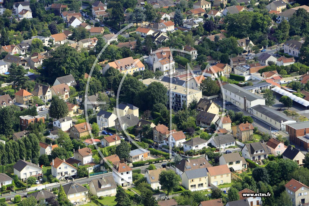 Photo arienne de Brunoy (la Faisanderie)