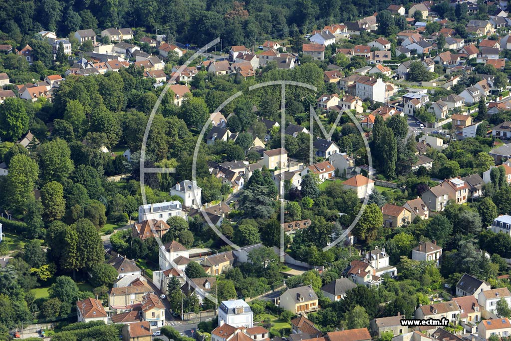 Photo arienne de Brunoy (les Ombrages)