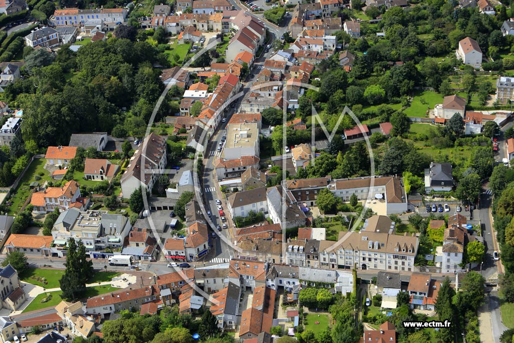 Photo arienne de Soisy-sur-Seine (Centre)