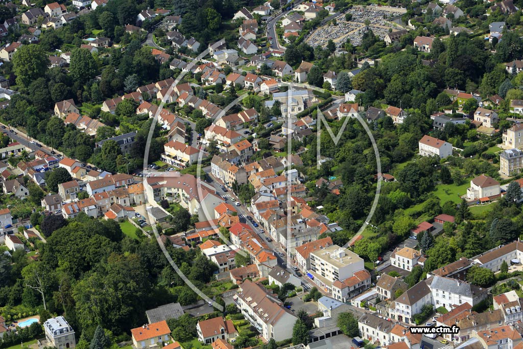Photo arienne de Soisy-sur-Seine (Centre)