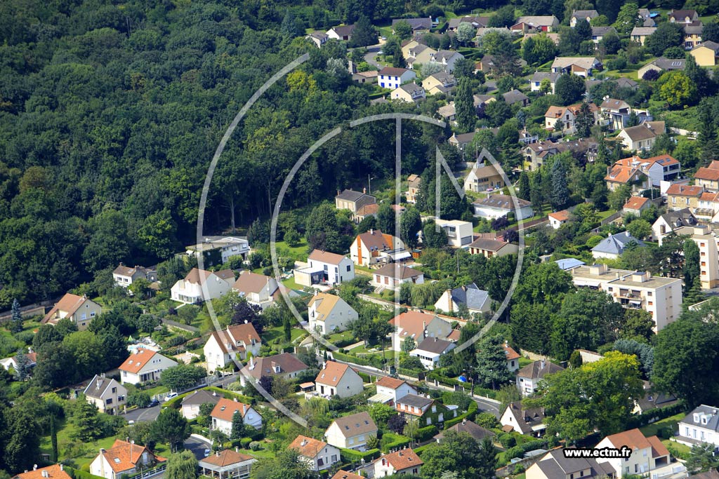 Photo arienne de Soisy-sur-Seine (les Donjons)