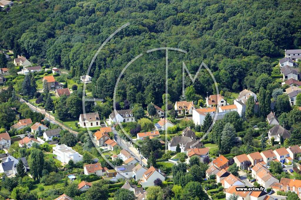Photo arienne de Soisy-sur-Seine (les Donjons)