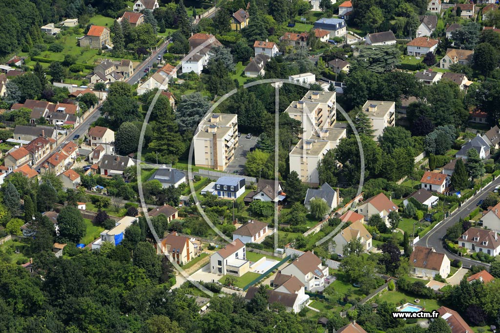 Photo arienne de Soisy-sur-Seine (les Donjons)