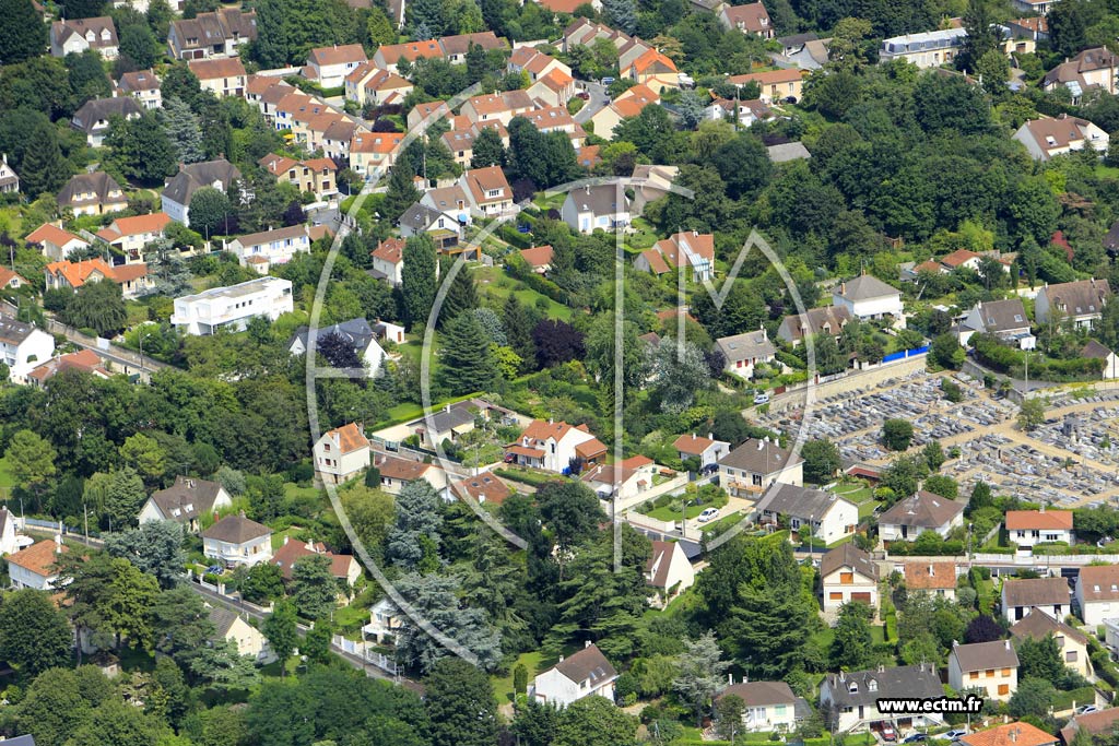 Photo arienne de Soisy-sur-Seine (les Donjons)