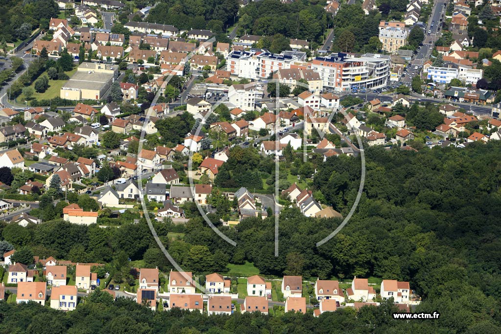 Photo arienne de Vigneux-sur-Seine (le Gros Buisson)
