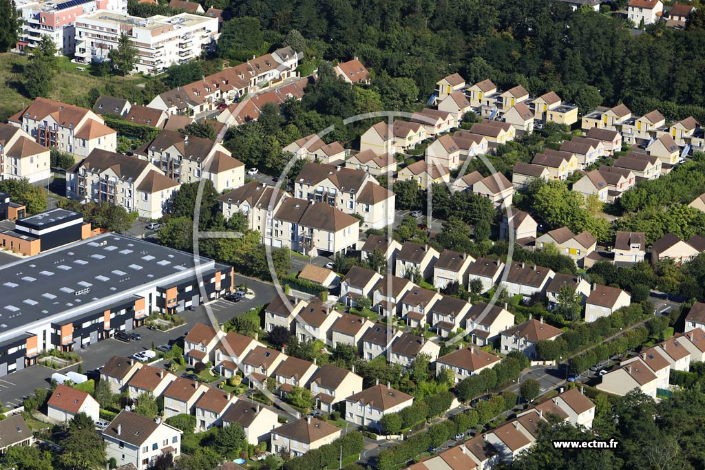 Photo arienne de Herblay (Bois des Copistes)