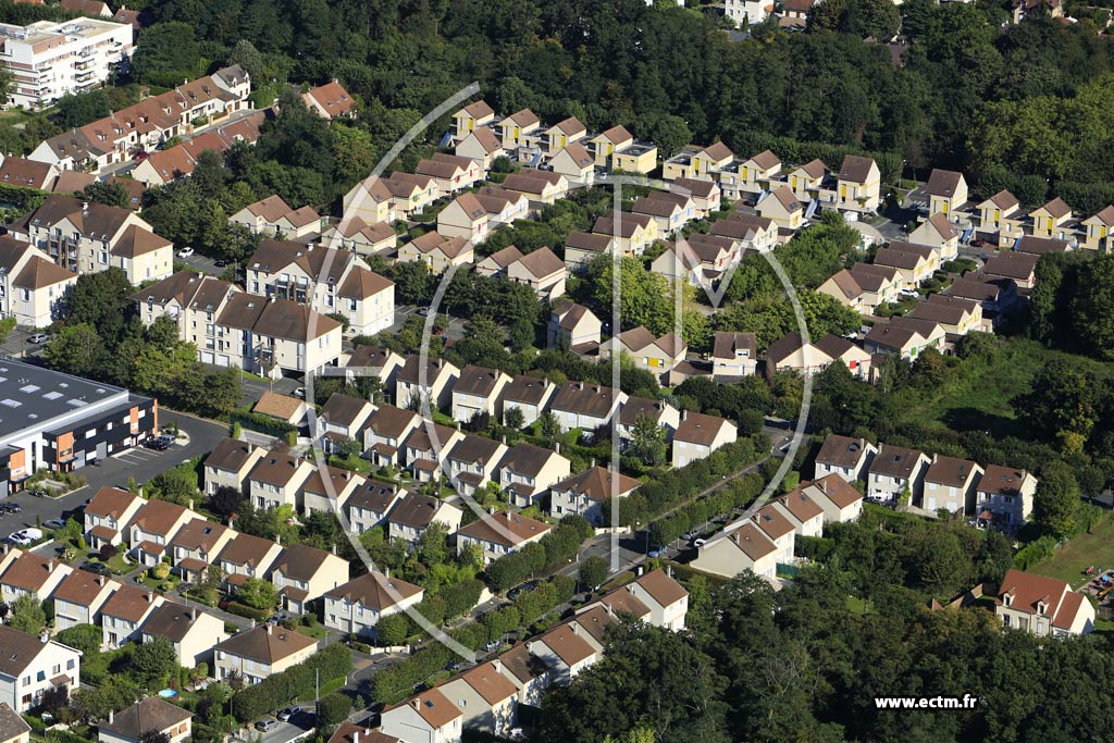 Photo arienne de Herblay (Bois des Copistes)