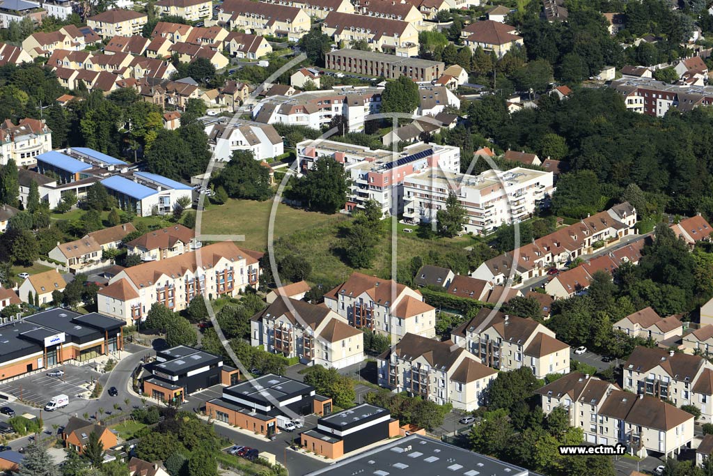 Photo arienne de Herblay (Bois des Copistes)