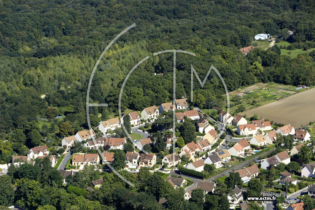 Photo arienne de Mry-sur-Oise (le Bois du Dfal)