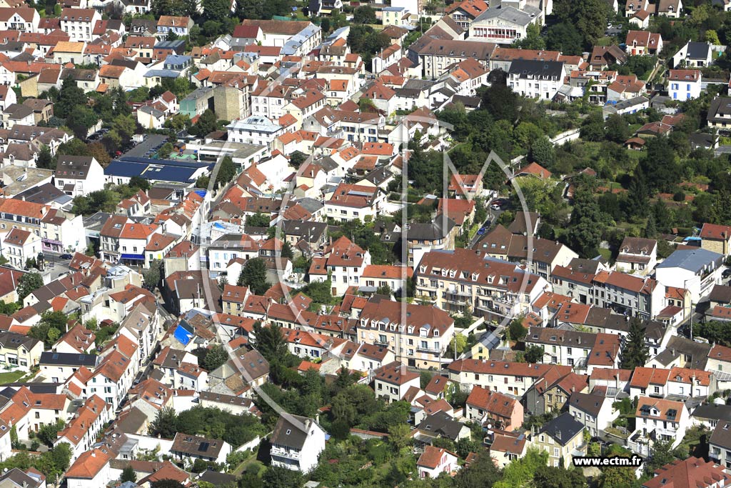 Photo arienne de Saint-Leu-la-Fort (Centre)