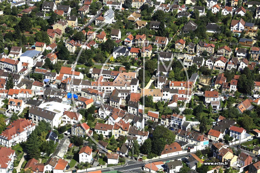 Photo arienne de Saint-Leu-la-Fort (Centre)