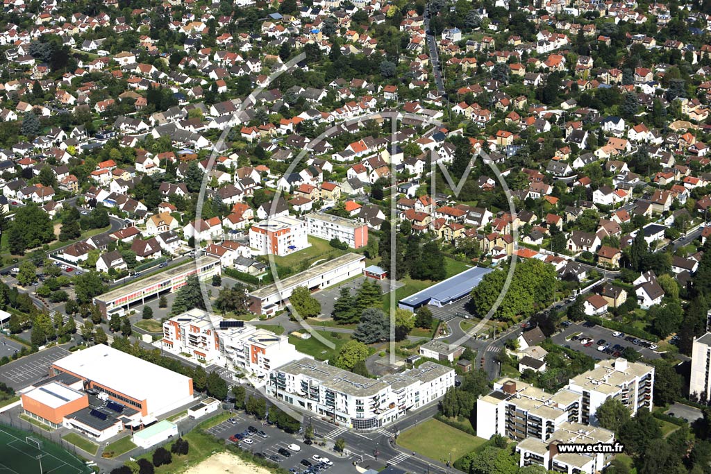 Photo arienne de Saint-Leu-la-Fort (les Naudires)