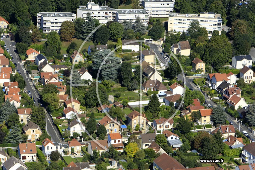 Photo arienne de Taverny (le Parc de Bellevue)