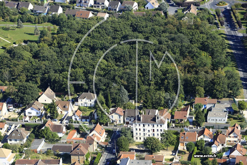 Photo arienne de Taverny (les Pontalis)