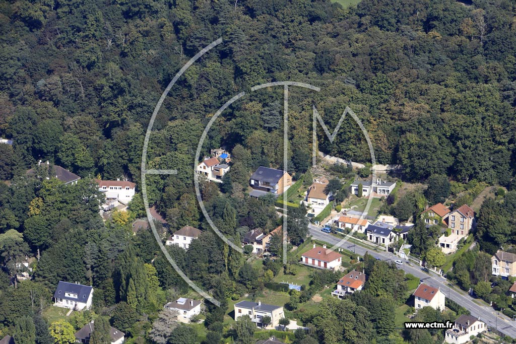 Photo arienne de Bivres (la Martinire)