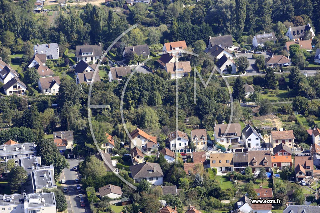 Photo arienne de Igny (le Bas Igny)
