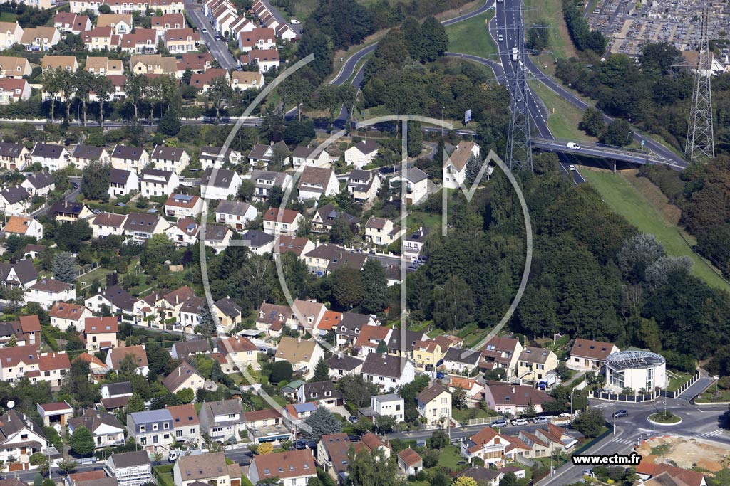 Photo arienne de Igny (les Ruchres)