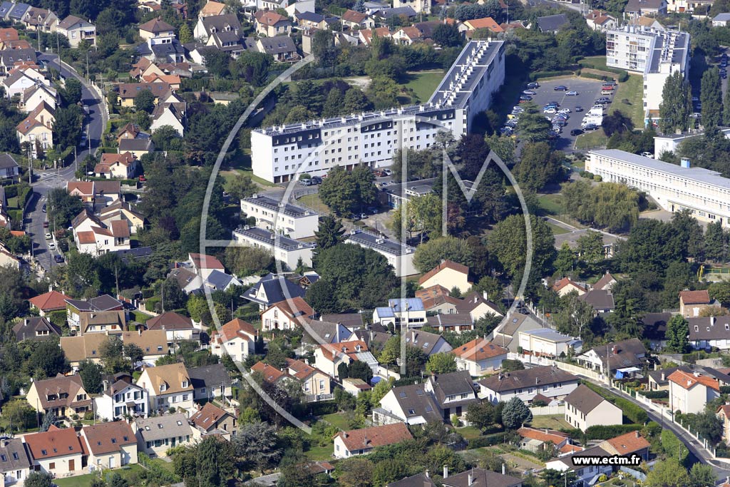 Photo arienne de Igny (les Ruchres)