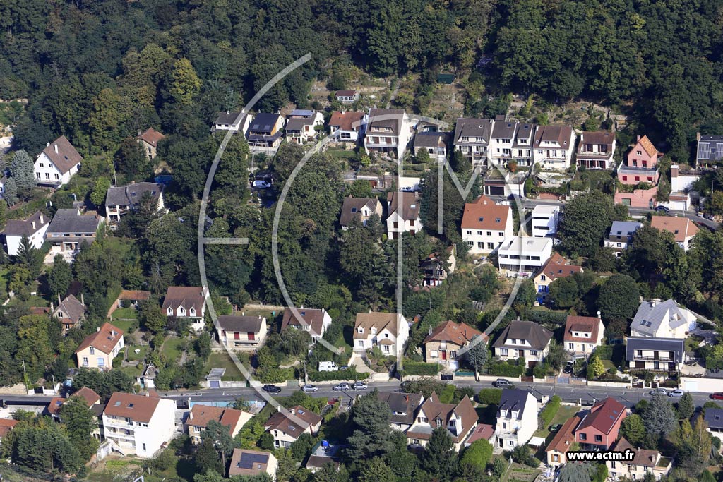 Photo arienne de Palaiseau (la Butte de Reims)