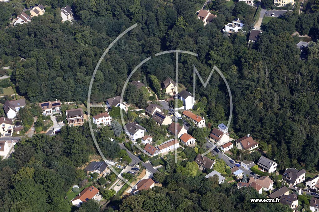 Photo arienne de Palaiseau (la Valle Franaise)