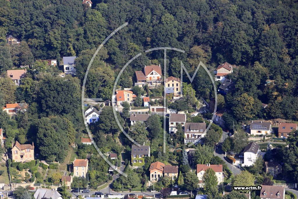 Photo arienne de Palaiseau (Lozre)