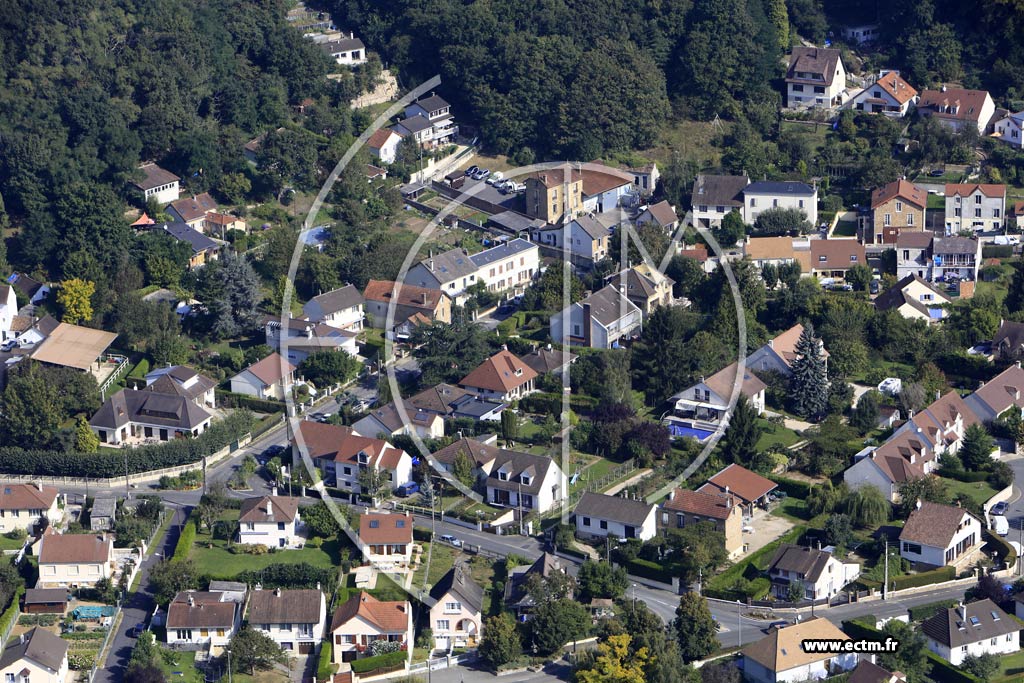 Photo arienne de Vauhallan (Bois de la Grande Maison)