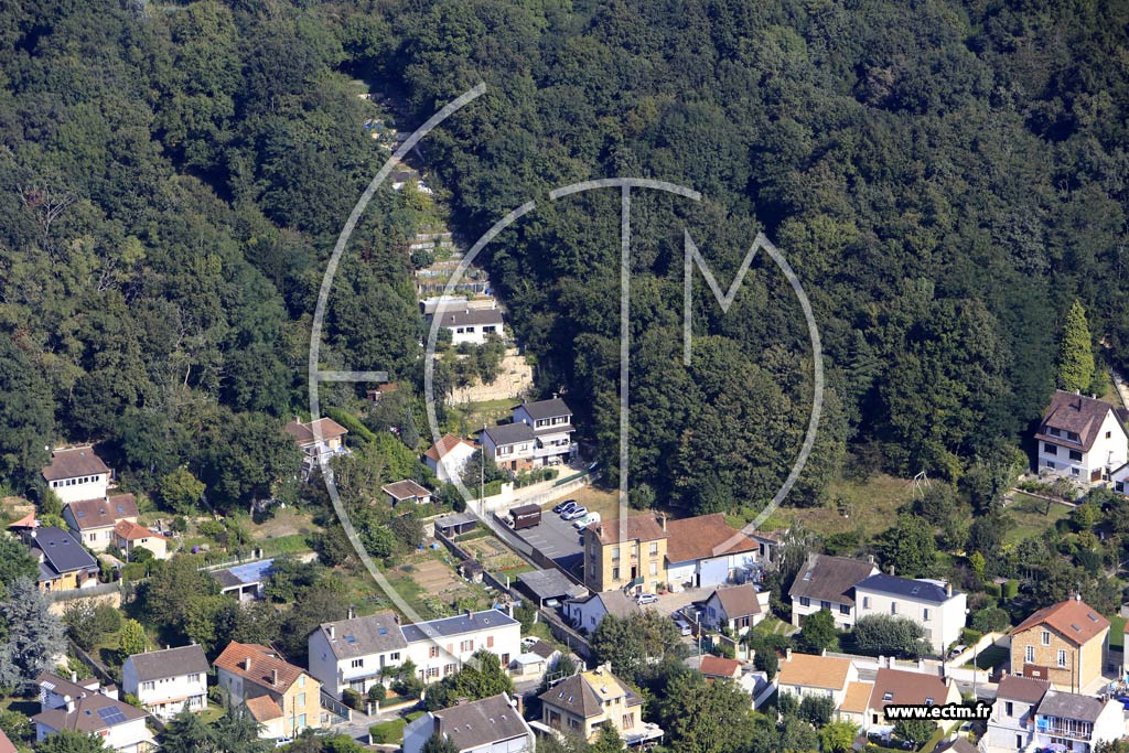 Photo arienne de Vauhallan (Bois de la Grande Maison)