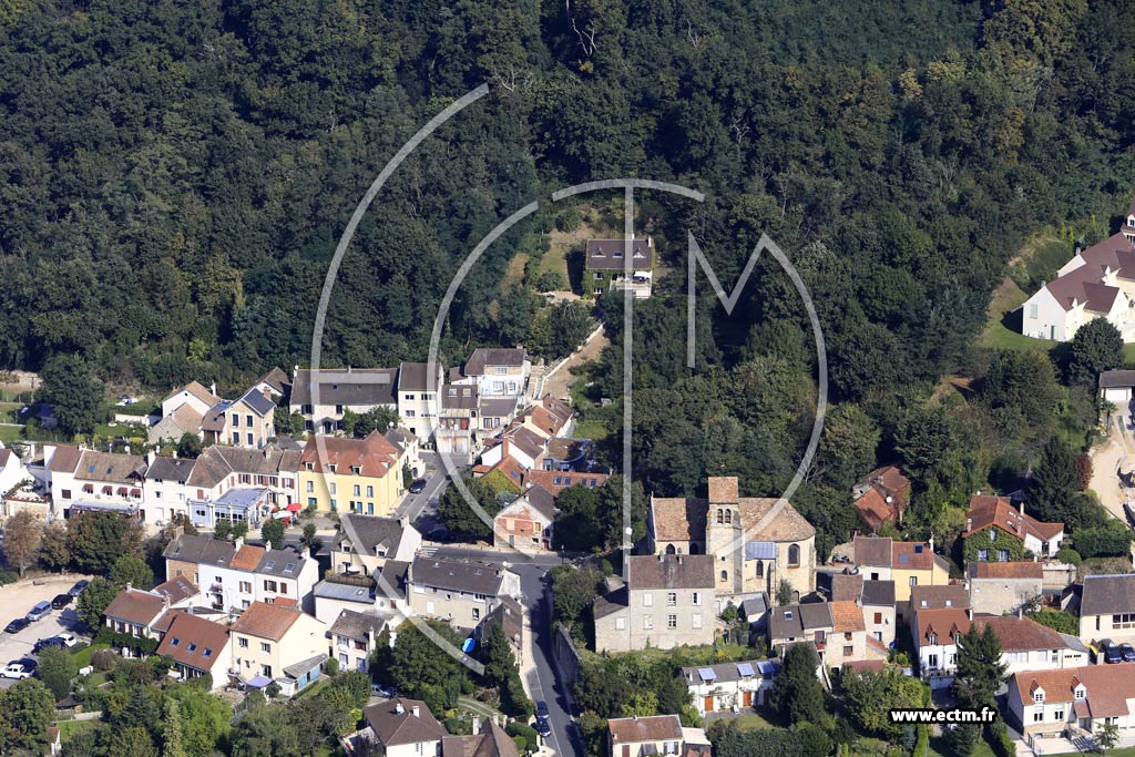 Photo arienne de Vauhallan (Bois de la Grande Maison)