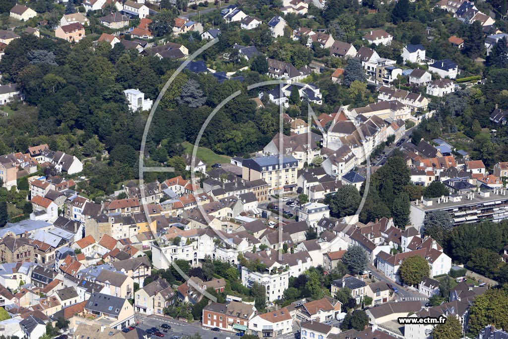Photo arienne de Verrires-le-Buisson