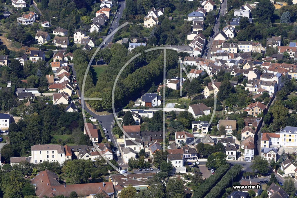Photo arienne de Verrires-le-Buisson