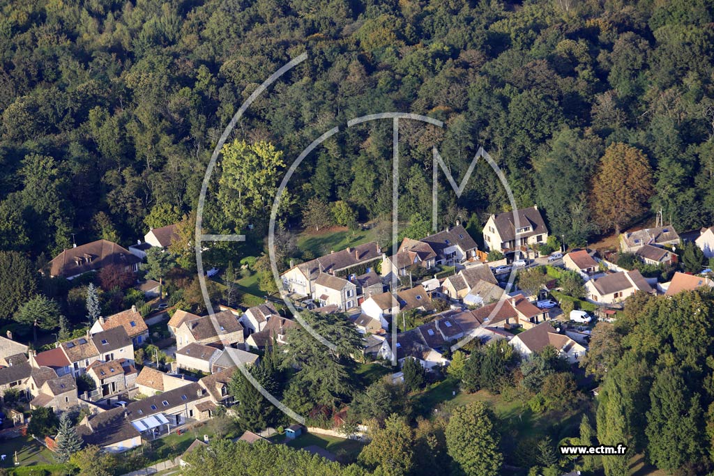 Photo arienne de Livry-sur-Seine (Centre)