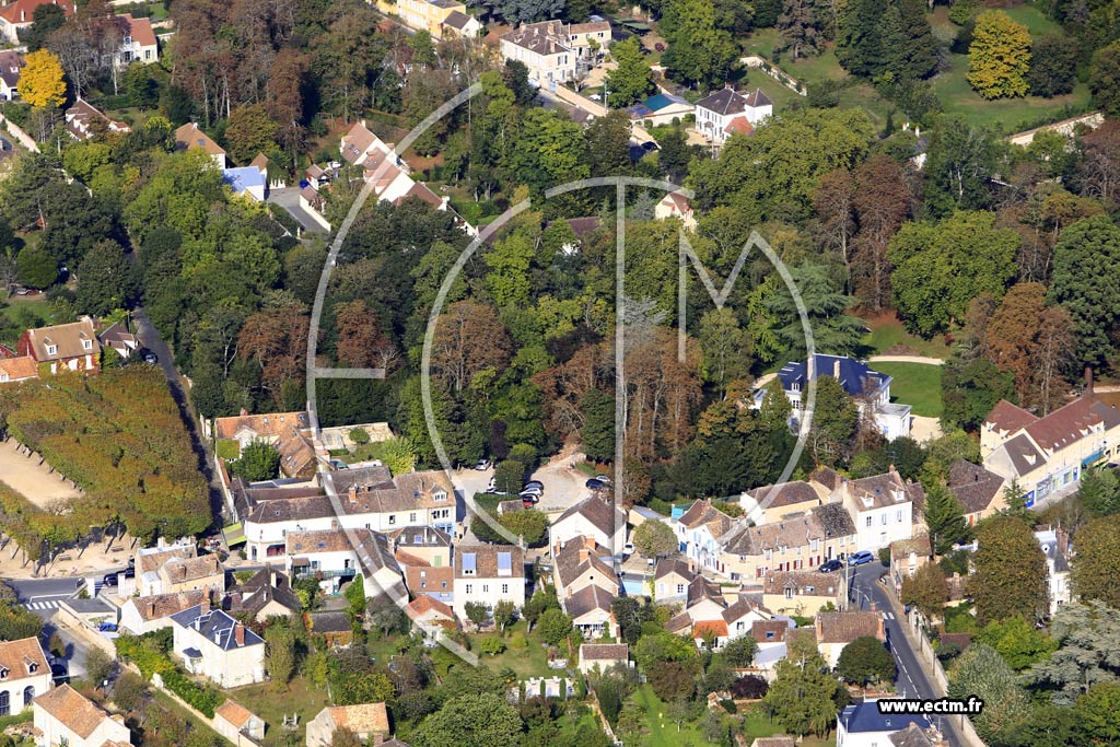 Photo arienne de Seine-Port (la Chesnaie)