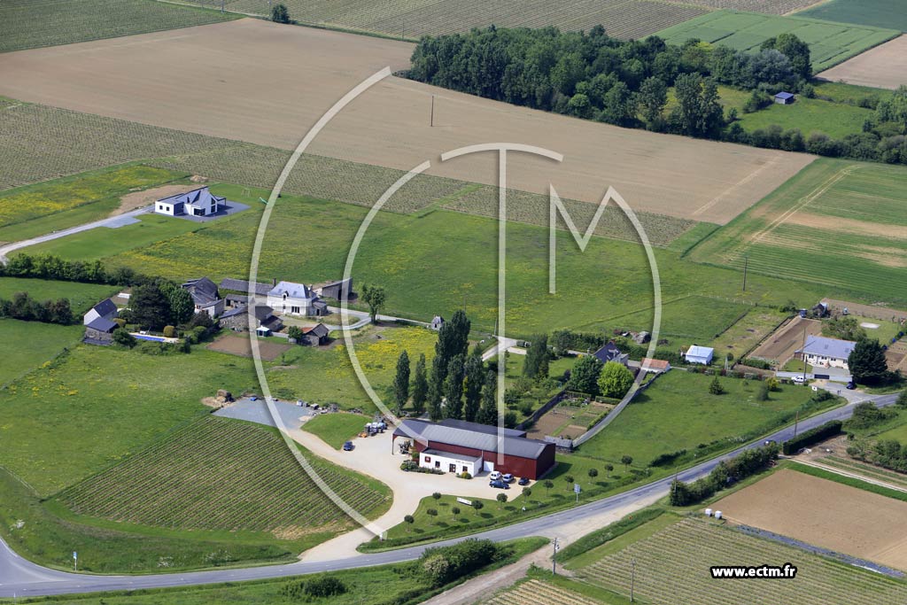 Photo arienne de Brissac-Quinc (Jauraux)