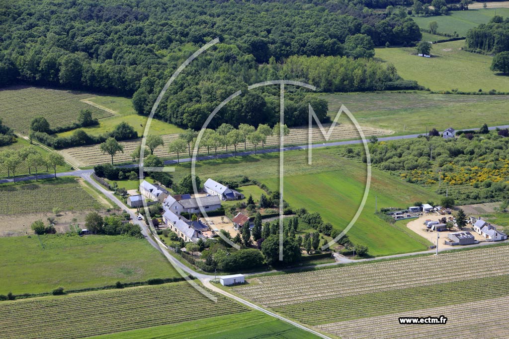 Photo arienne de Brissac-Quinc (la Riaut)