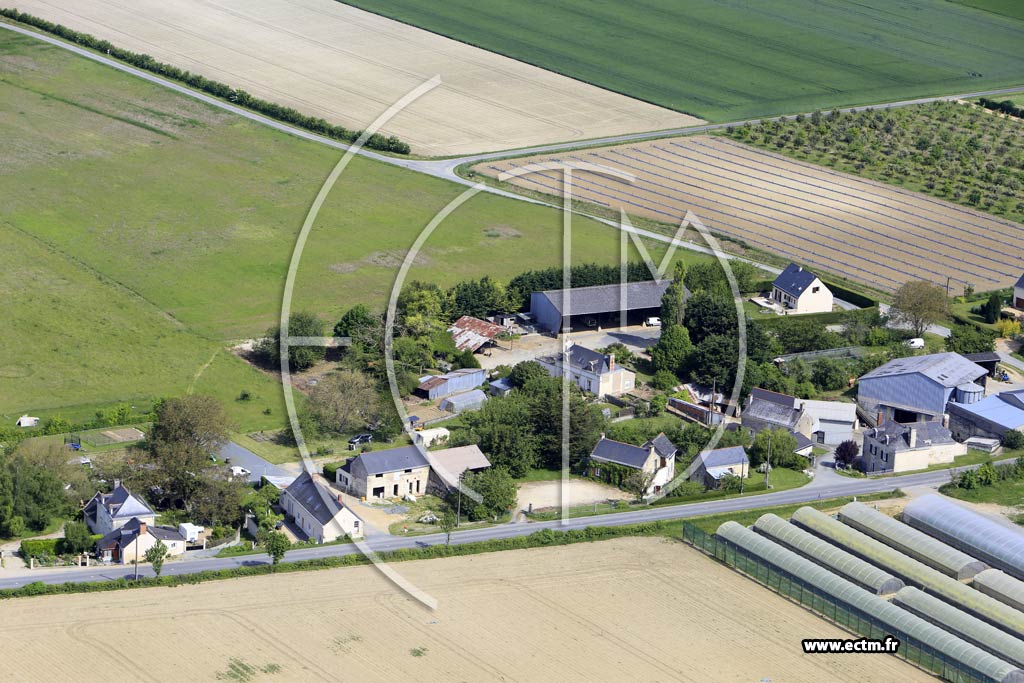 Photo arienne de Chemellier (la Motte)