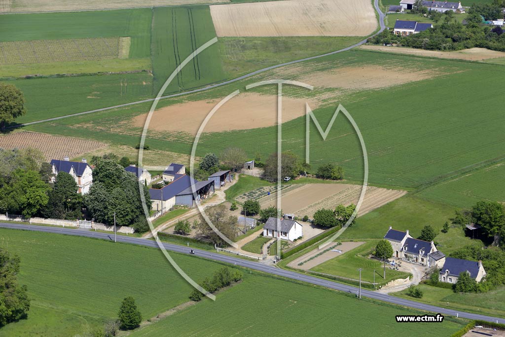 Photo arienne de Chemellier (le Buisson)