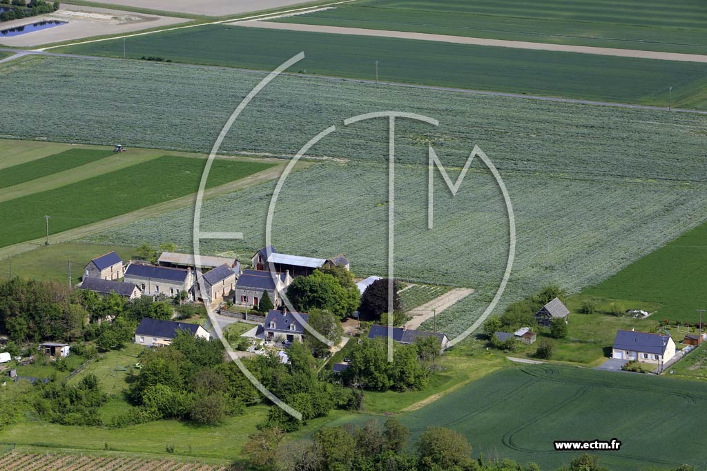 Photo arienne de Chemellier (Montaigu Sud)