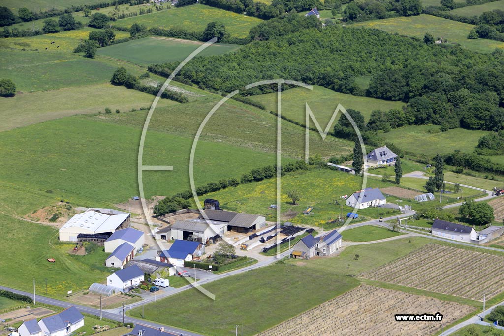 Photo arienne de Faye-d'Anjou (l'Houssellire)