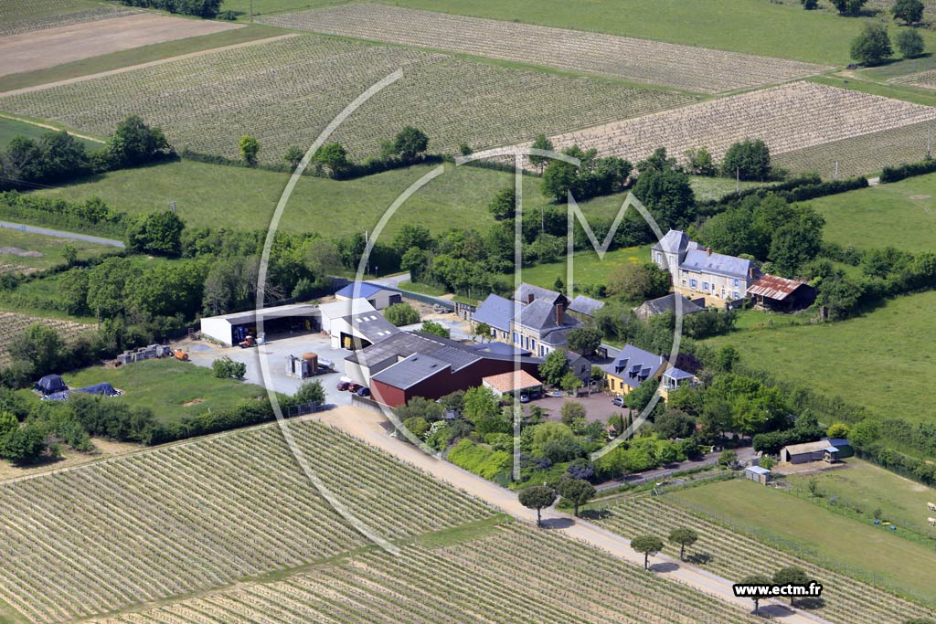 Photo arienne de Faye-d'Anjou (la Douve)