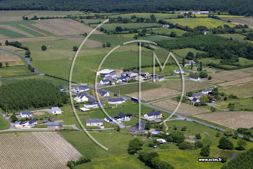 Photo arienne de Faye-d'Anjou (la Maison Neuve)